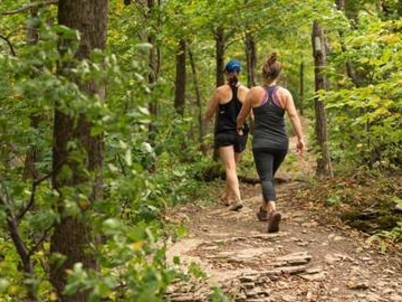 DO YOU PREFER A VIRTUAL WALK?  YOUR WAY, YOUR WHERE AND YOUR WHEN!                      